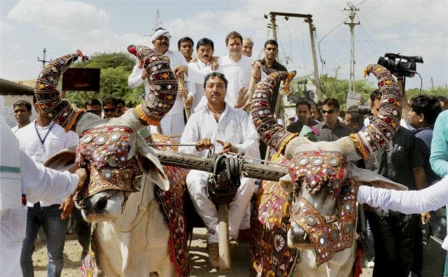 राहुल गांधी का गुजरात दौरा, देखें तस्वीरों में