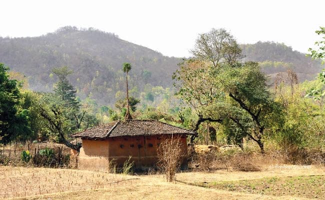 गरुड़पीढ़ी गांव, जिसके पाेर-पोर में समाया है आदिवासियों का भोलापन