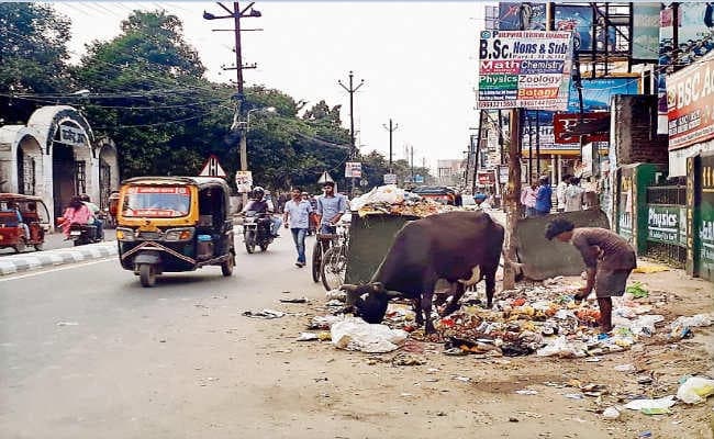 डोर-टू-डोर कचरा उठाव के लिए कागज में अपडेट किया जा रहा डाटा, डस्टबीन हटाने का प्लान फेल, सड़कों पर पड़ा कचरा
