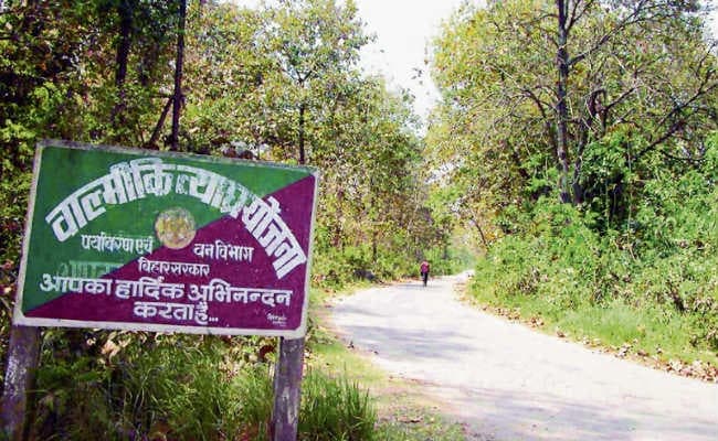 पटना : वीटीआर में पहुंचने में बाधा बनीं खस्ताहाल सड़कें