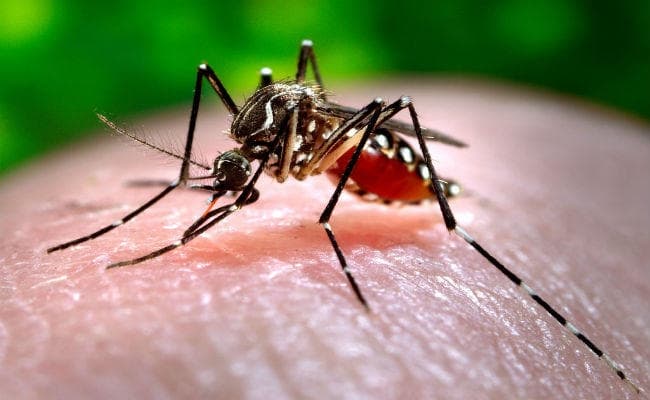 पटना : निजी अस्पताल छिपा रहे डेंगू मरीजों के आंकड़े