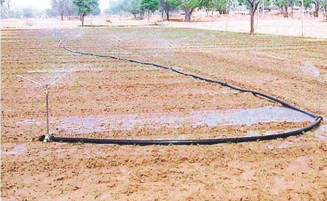 पटना : सूखा राहत पर 1400 करोड़ खर्च करेगी सरकार, जानें कौन-कौन है प्रभावित जिले