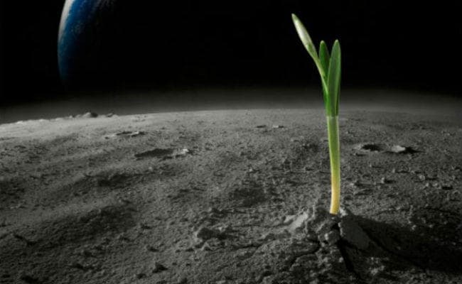 NASA दूसरे ग्रहों पर जीवन तलाशने अब करेगा यह काम…