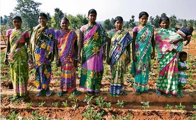 बागवानी ने बदल दी जिंदगी