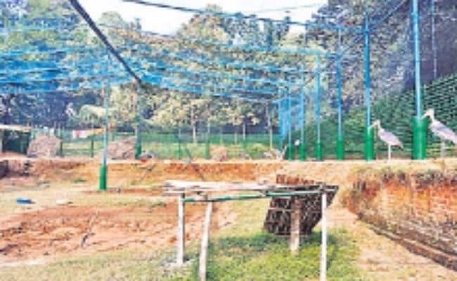 सुंदरवन होने लगा सुंदर, बीमार गरुड़ के लिए राहत का इंतजाम