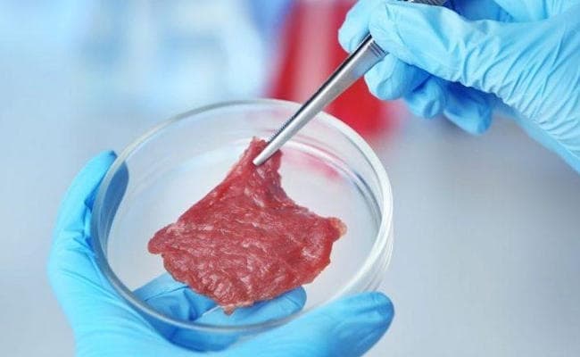 अमेरिका ने दी दी मान्यता, जल्द ही आपकी थाली में होगा ‘लैब मीट’