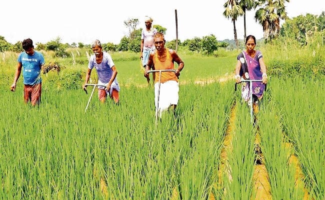 Jharkhand@18 : महिला किसान अवार्ड के लिए झारखंड की तीन महिला चयनित