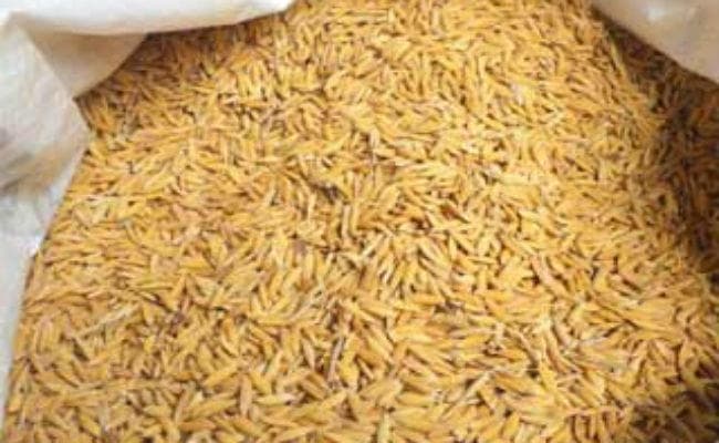 रांची : 1750 प्रति क्विंटल की दर से धान खरीदेगी सरकार, जानिए कैबिनेट के अन्य फैसलों के बारे में