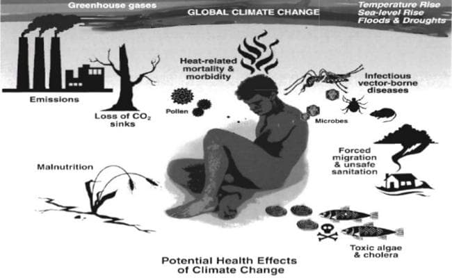 जलवायु परिवर्तन से मृत्यु, बीमारी का खतरा बढ़ा : अध्ययन