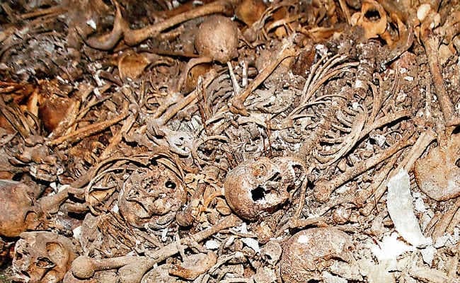 सारण : तंत्र साधना के लिए होती है तस्करी, अंतरराष्ट्रीय गिरोह है शामिल