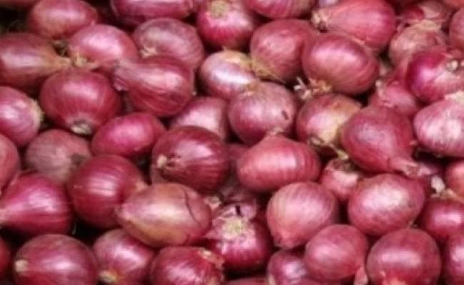 750 किलो प्याज के लिए मिले महज 1064 रुपये, नाराज किसान ने राशि PMO को भेजी