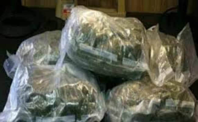 जलपाईगुड़ी: 14 लाख का गांजा जब्त, 30 लाख की सागौन लकड़ी भी जब्त