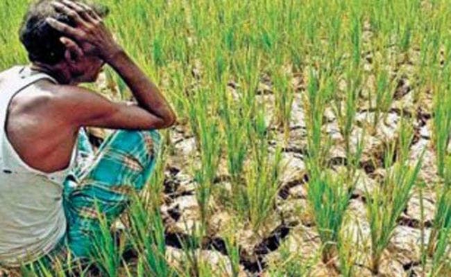 केंद्रीय टीम ने माना झारखंड में सुखाड़ की स्थिति, मांग जायज