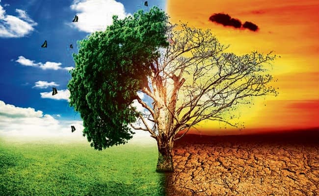 जलवायु परिवर्तन से भारत की जीडीपी को नुकसान, जानें