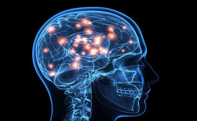 अब पता चलेगा कि दिमाग कैसे काम करता है...!