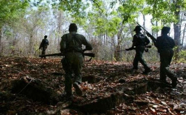 बिहार : वाल्मीकि टाइगर रिजर्व क्षेत्र में घुसे कई नक्सली, वन्यजीवों की सुरक्षा पर भी मंडरा रहा खतरा