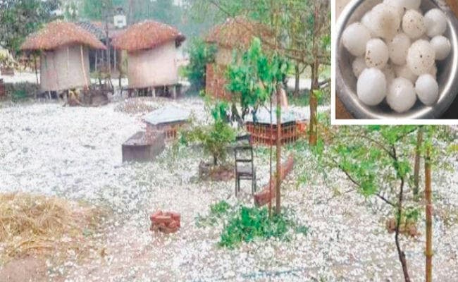बिहार : आंधी और ओलावृष्टि से व्यापक क्षति, लो प्रेशर ने बिगाड़ा मौसम का मिजाज, कृषि विभाग करेगा क्षति का आकलन