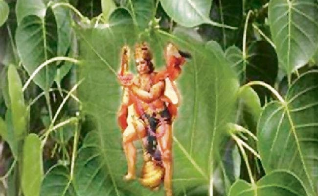 इस उपाय से हनुमानजी जल्द पूरी करेंगे मनोकामनाएं