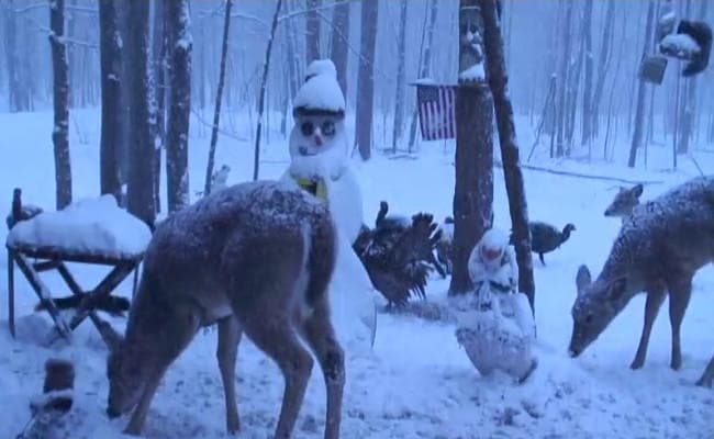 VIDEO : सीरिया पर मिसाइल बरसाने वाले अमेरिका पर बर्फीले तूफान का कहर, तीन की मौत