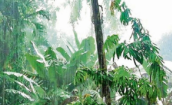 इस साल 97% होगी बारिश, अर्थव्यवस्था में आयेगी हरियाली, मई अंत तक दस्तक देगा मॉनसून
