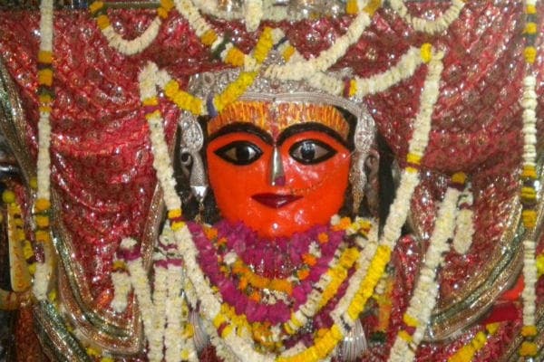 अन्न में रखी गयी मां शाकंभरी देवी की प्रतिमा