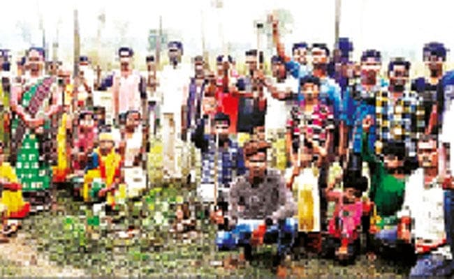 महिलाएं कर रही हैं जंगल की पहरेदारी, शरारती तत्वों ने 3000 पेड़ काट दिये