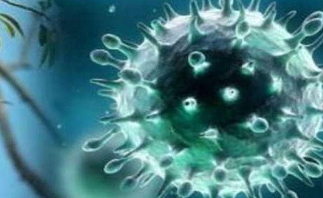 बंगाल पहुंचा निपाह वायरस! बेलियाघाटा आइडी अस्पताल में मरीज भर्ती