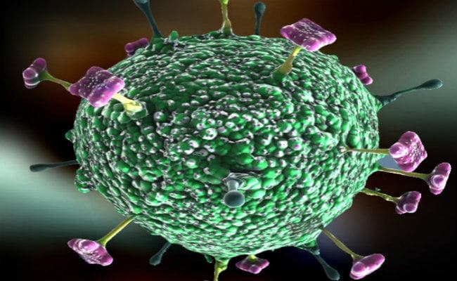 चमगादड़ केरल में निपाह विषाणु फैलने के मूल स्रोत नहीं : रिपोर्ट