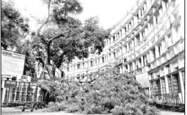 आंधी-तूफान से मालदा में भारी नुकसान