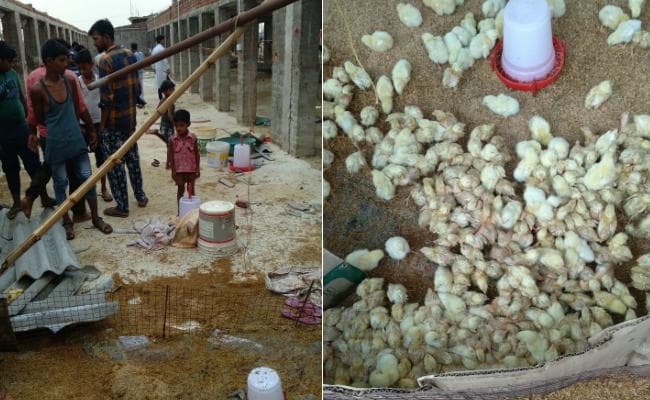 ढाई घंटे तक तूफान के कब्जे में रहा चौपारण, कहीं पेड़ गिरे तो कहीं उड़ा घर का छप्पर