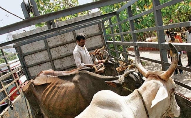 मवेशी तस्कर ने किया ग्रामीणों को कुचलने का प्रयास, तीन गिरफ्तार, जीटी रोड जाम