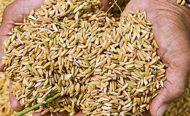 11 हजार करोड़ का है धान के बदले चावल आपूर्ति घोटाला, 3 साल में 1300 एफआईआर जांच में जुटे हैं छह सौ अधिकारी