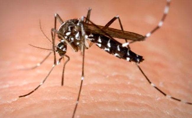 सॉल्टलेक के अस्पताल में डेंगू से मौत