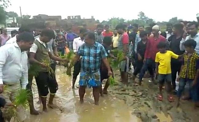 झुमरीतिलैया : बदहाल सड़कों के कारण फूटा लोगों का आक्रोश, बीच सड़क पर की धन रोपणी