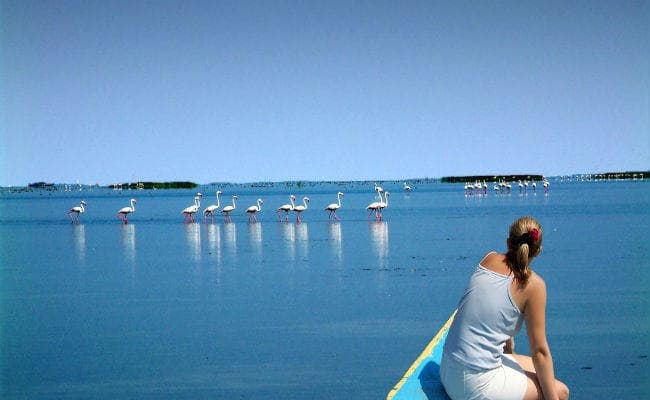 चिल्का झील और सरदार सरोवर बांध में बनेगा एयरोड्रम, नागर विमानन मंत्री दी मंजूरी