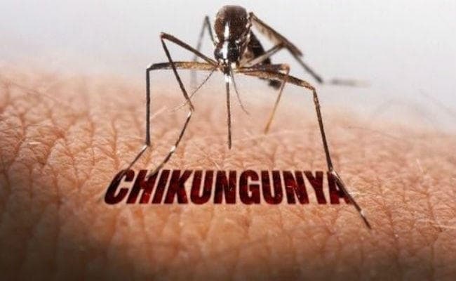 रांची : चिकनगुनिया के 10 नये मरीज मिले