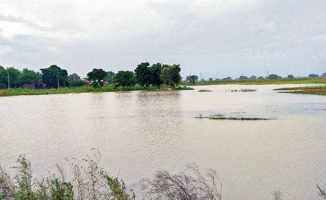 बलिया के दियारे की कई बस्तियों में घुसा बाढ़ का पानी, आवागमन ठप