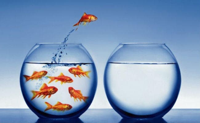 जिसने सत्य का आश्रय ले लिया उसे छू भी नहीं सकता कोई भय