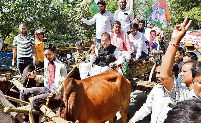 रांची : बैलगाड़ी लेकर कांग्रेस ने किया विरोध प्रदर्शन