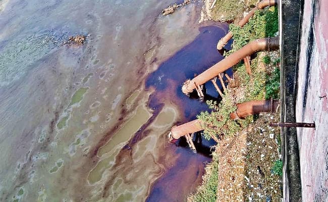चंद्रपुरा थर्मल से दामोदर में भारी मात्रा में बहा फर्नेस ऑयल, पानी हुआ विषाक्त, 8 लाख लोगों के घर जल संकट