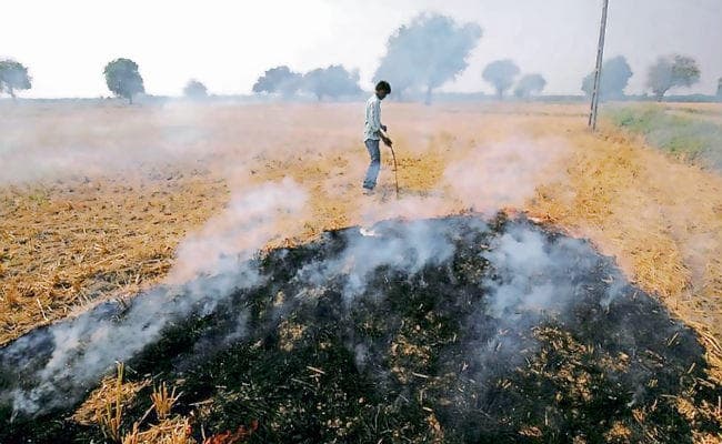 पटना :पुआल बनेगा आमदनी का जरिया, दो कृषि विश्वविद्यालय करेंगे काम
