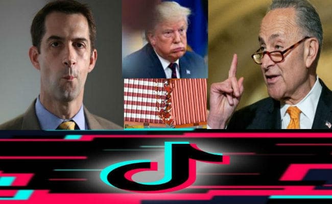 अमेरिका के निशाने पर चीन का Tik Tok, सता रहा है बीजिंग से जासूसी का खतरा