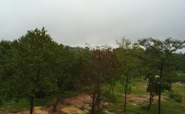 Jharkhand Weather Forecast : झारखंड में पश्चिमी विक्षोभ सक्रिय, सरस्वती पूजा के दिन बारिश को लेकर क्या है वैज्ञानिकों का पूर्वानुमान