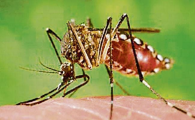 डेंगू रोगियों की संख्या में अब आने लगी है कमी