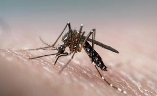 बिहार में डेंगू के मरीजों की संख्या बढ़कर 6247 हुई