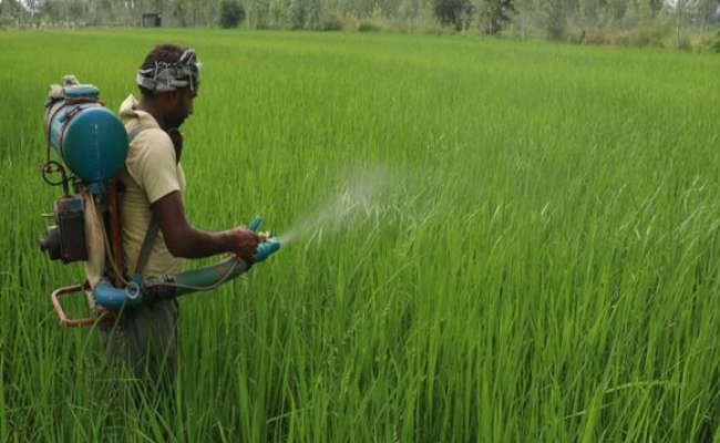 आपदा के कारण जमीन खाली रखने वाले किसानों को अनुदान