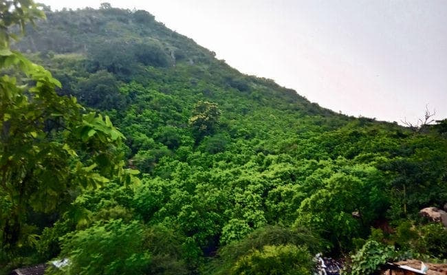 बिहार : माड़नपुर की पहाड़ियों की गोद में मिलता है सुकून