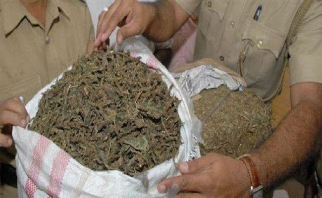 बिहार के बेतिया में पकड़ी गई तीन करोड़ की चरस, भारत-नेपाल सीमा के पास से तीन तस्कर गिरफ्तार