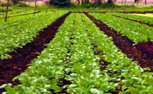 हर जिले में बनेगा एक जैविक ग्राम