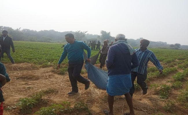 गुमला में हाथी का आतंक, किसान को कुचला, टुकड़ों में मिला शव